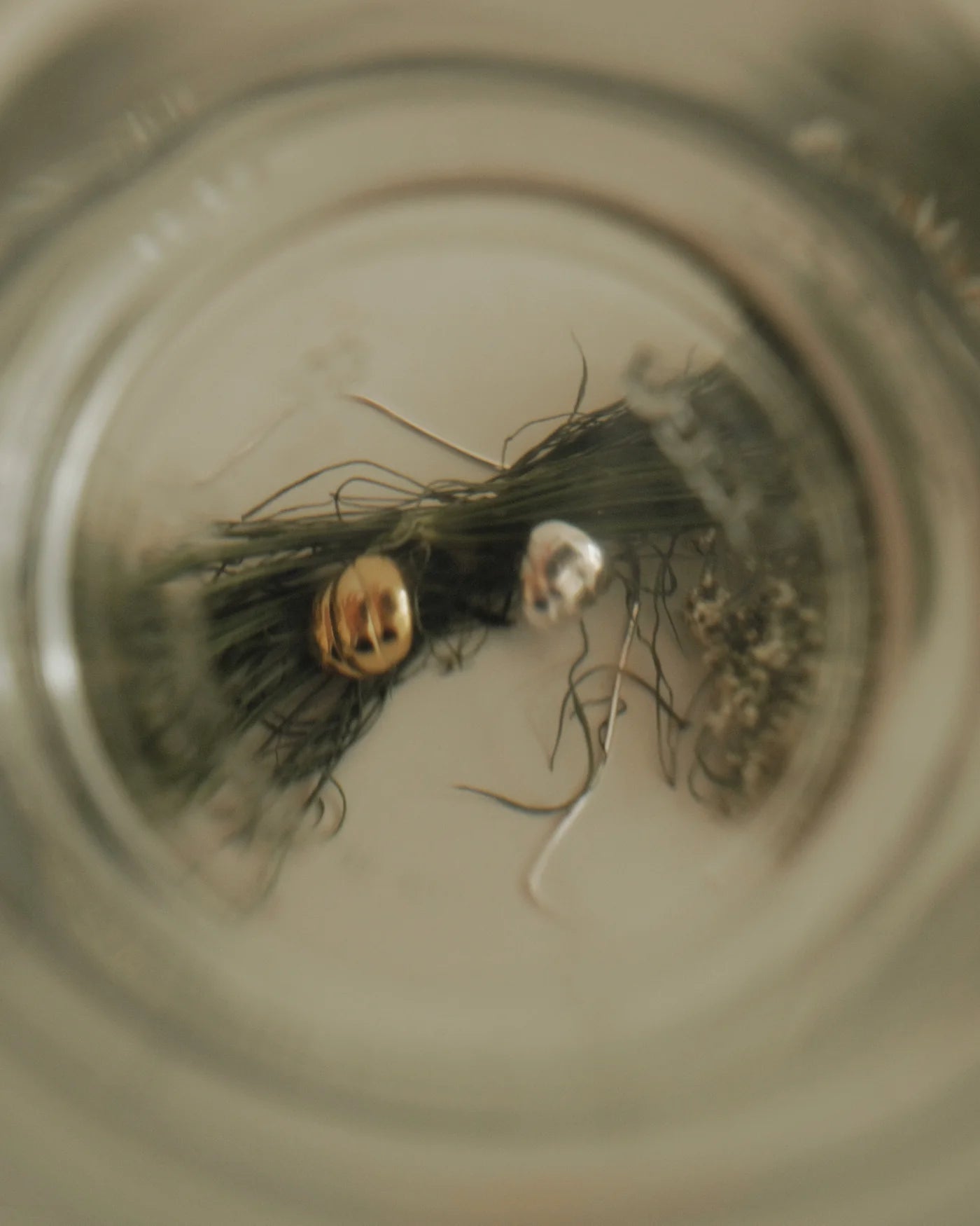 QUILE金色弧形貝殼耳環