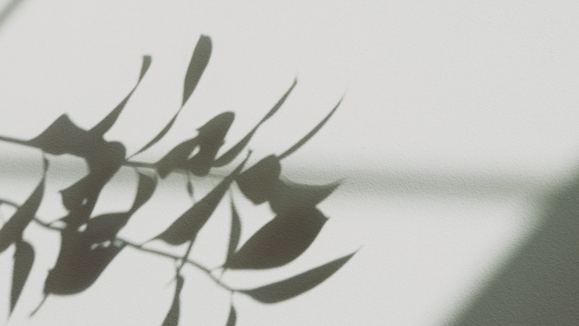 載入影片：